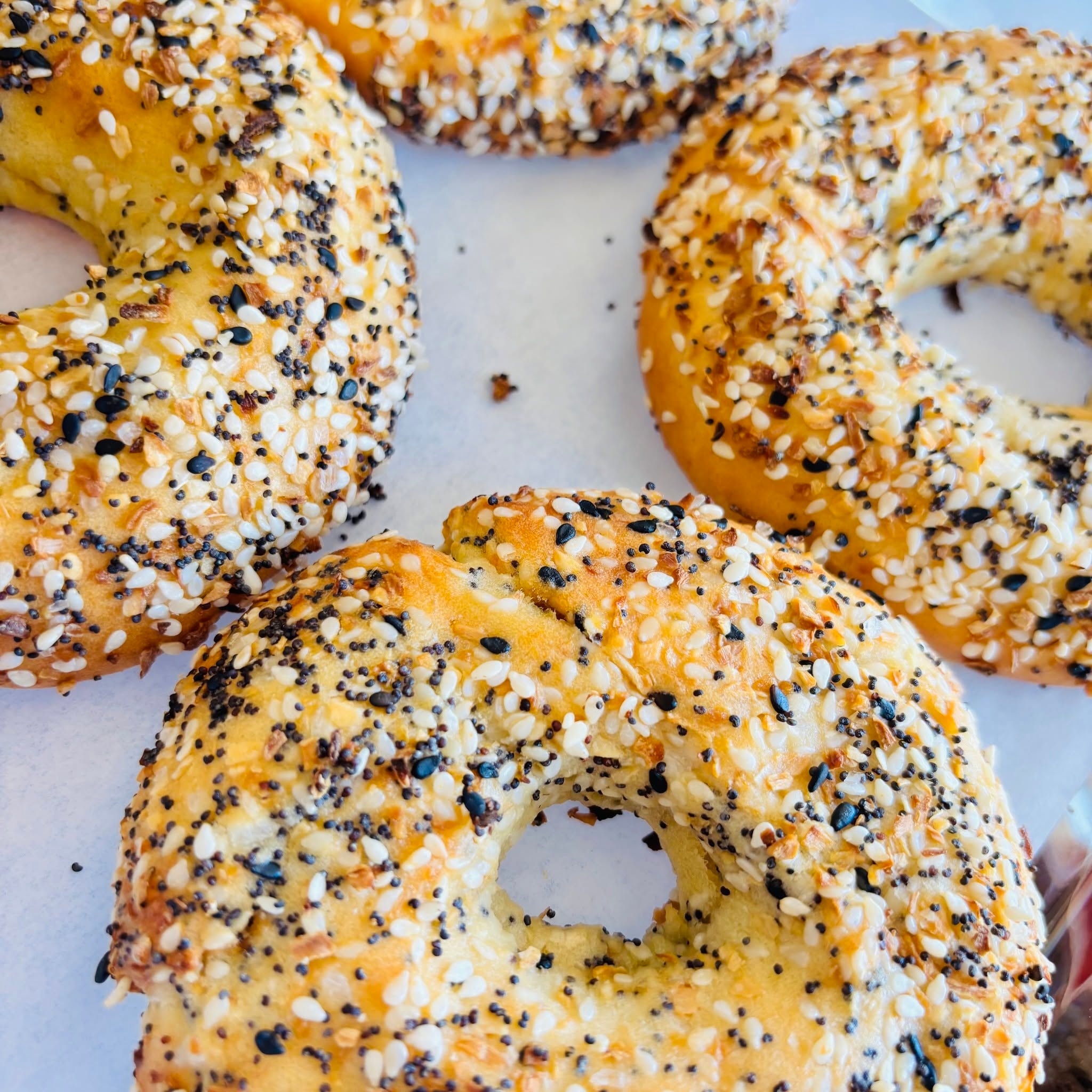 Everything Bagel